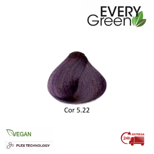 EVERYGREEN COLOR 5.22 100 ML