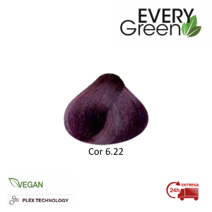 EVERYGREEN COLOR 6.22 100 ML